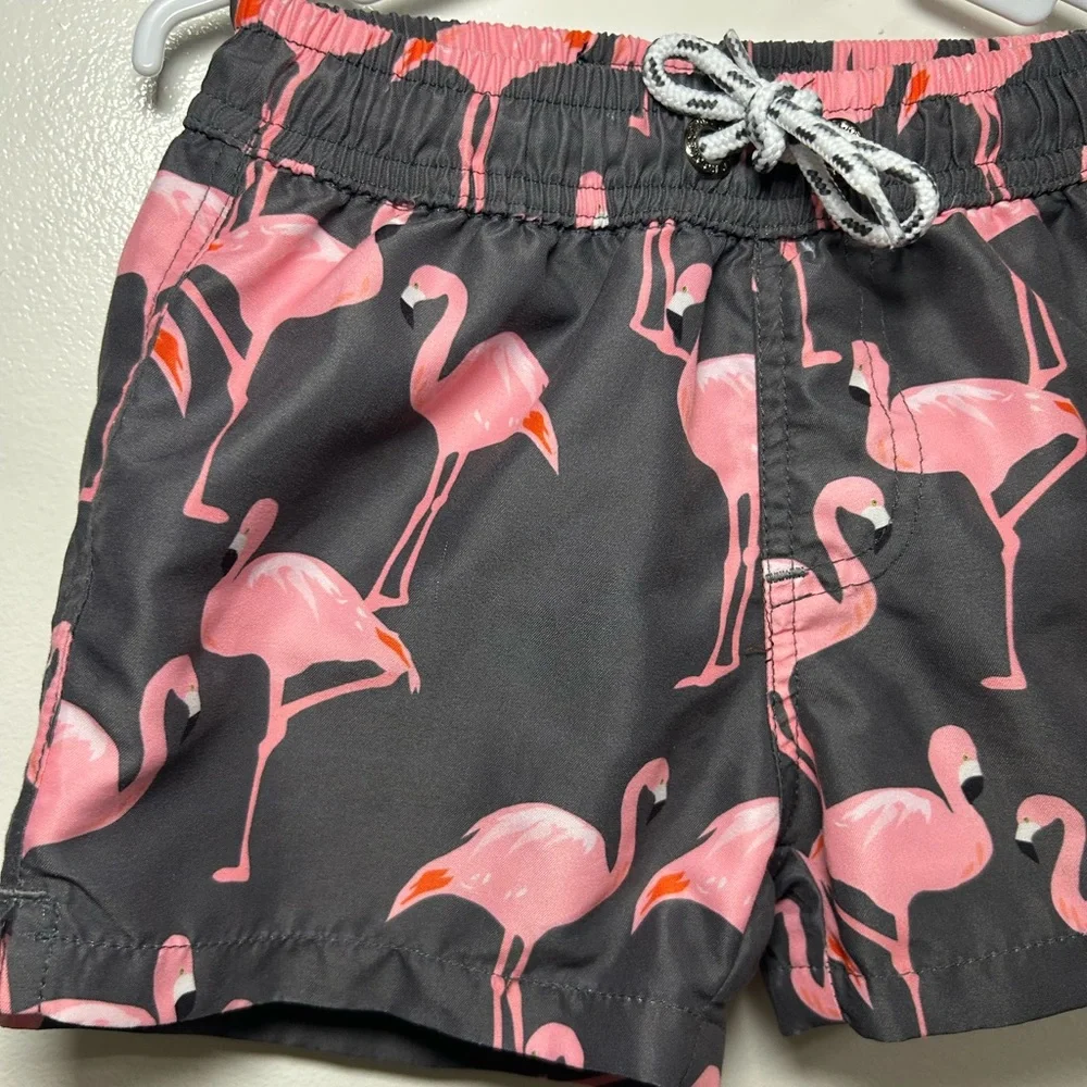Snapper Rock Pink and Gray Flamingo Boys Swim Shorts